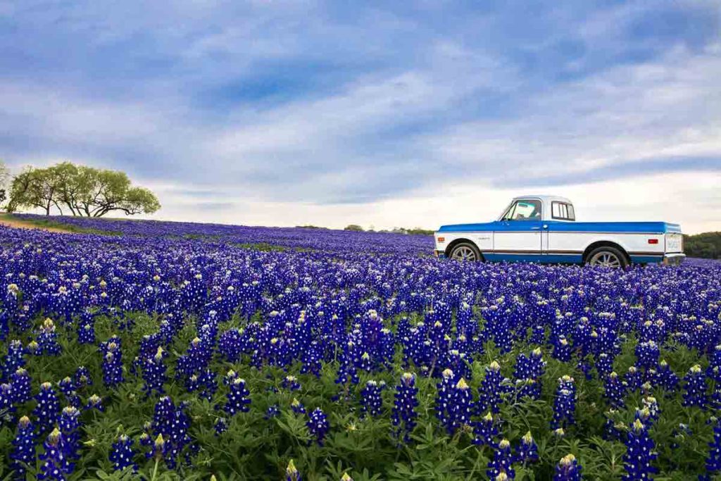 Weekend Trips in Texas