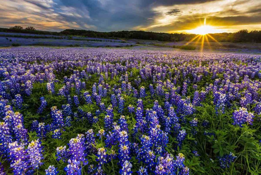 most beautiful places in texas